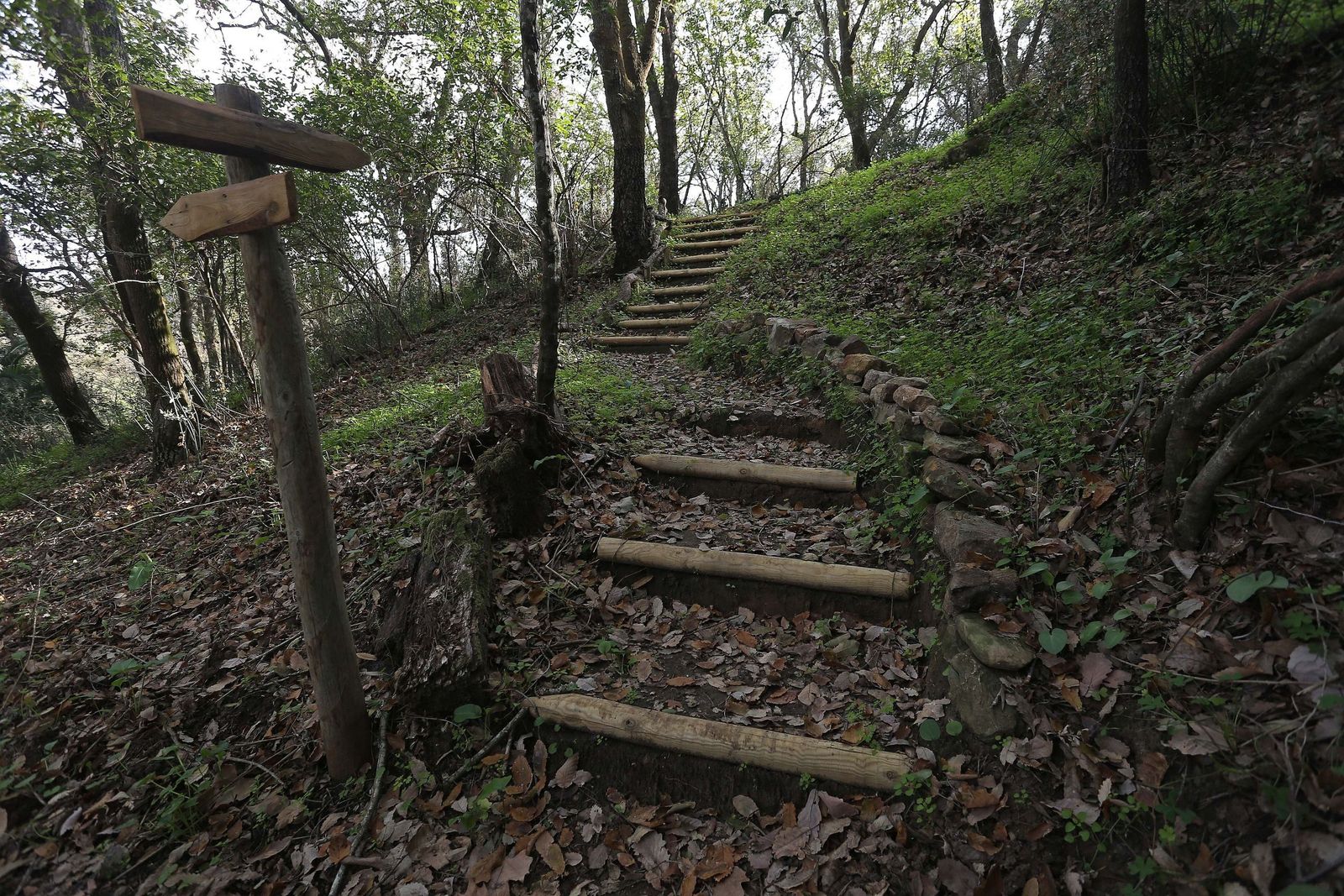Parque Natural de los Alcornocales, La Almoraima en Castellar