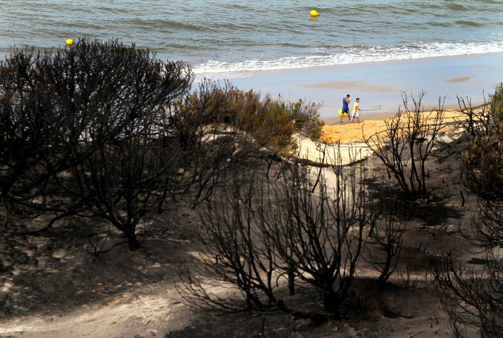 Imágenes de las consecuencias del incendio de Moguer