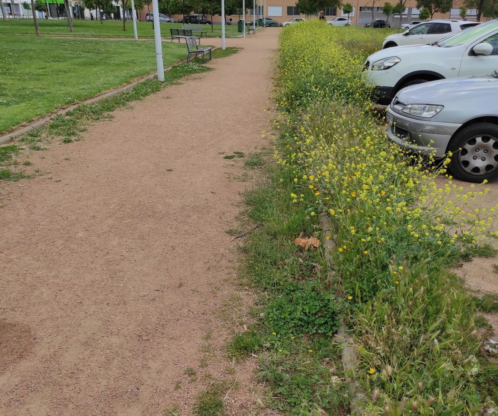 Estado de una de las zonas denunciadas por el PSOE.