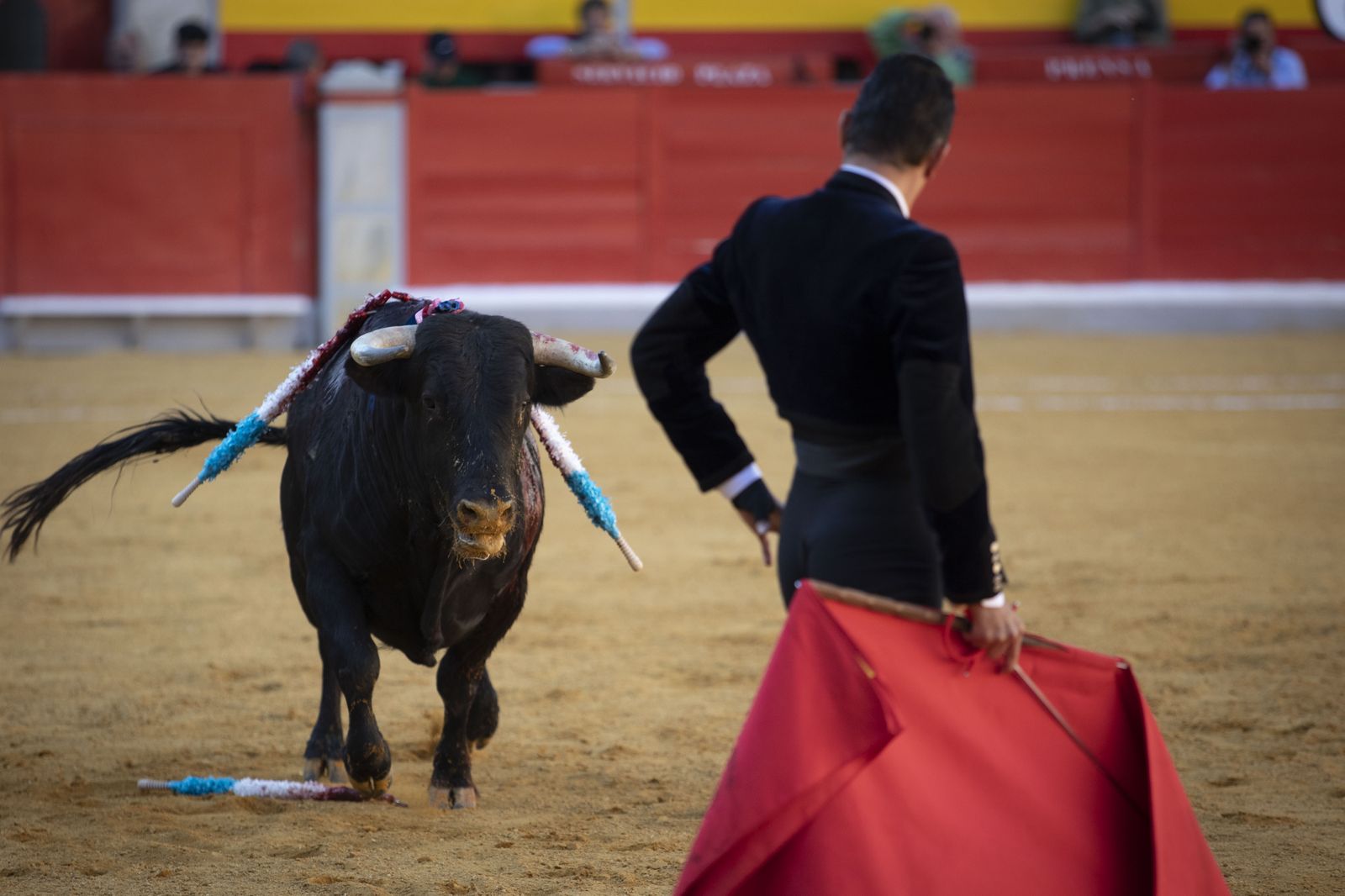 Las mejores imágenes del Festival Taurino en beneficio de Granadadown