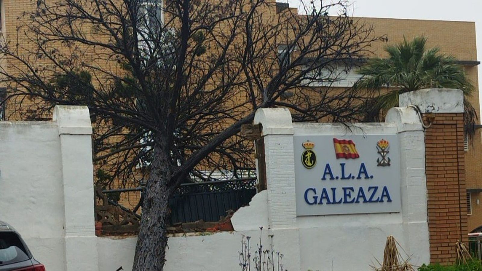 Árbol que ha caído en la avenida de la Armada sobre la residencia militar, en San Fernando