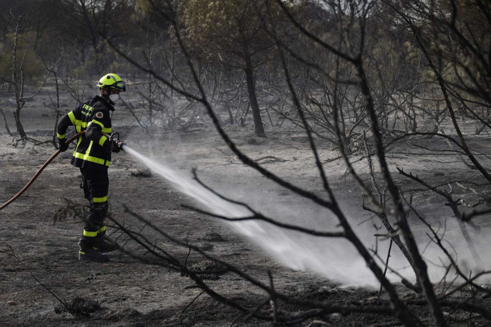 Imágenes del incendio en el Tiro Pichón