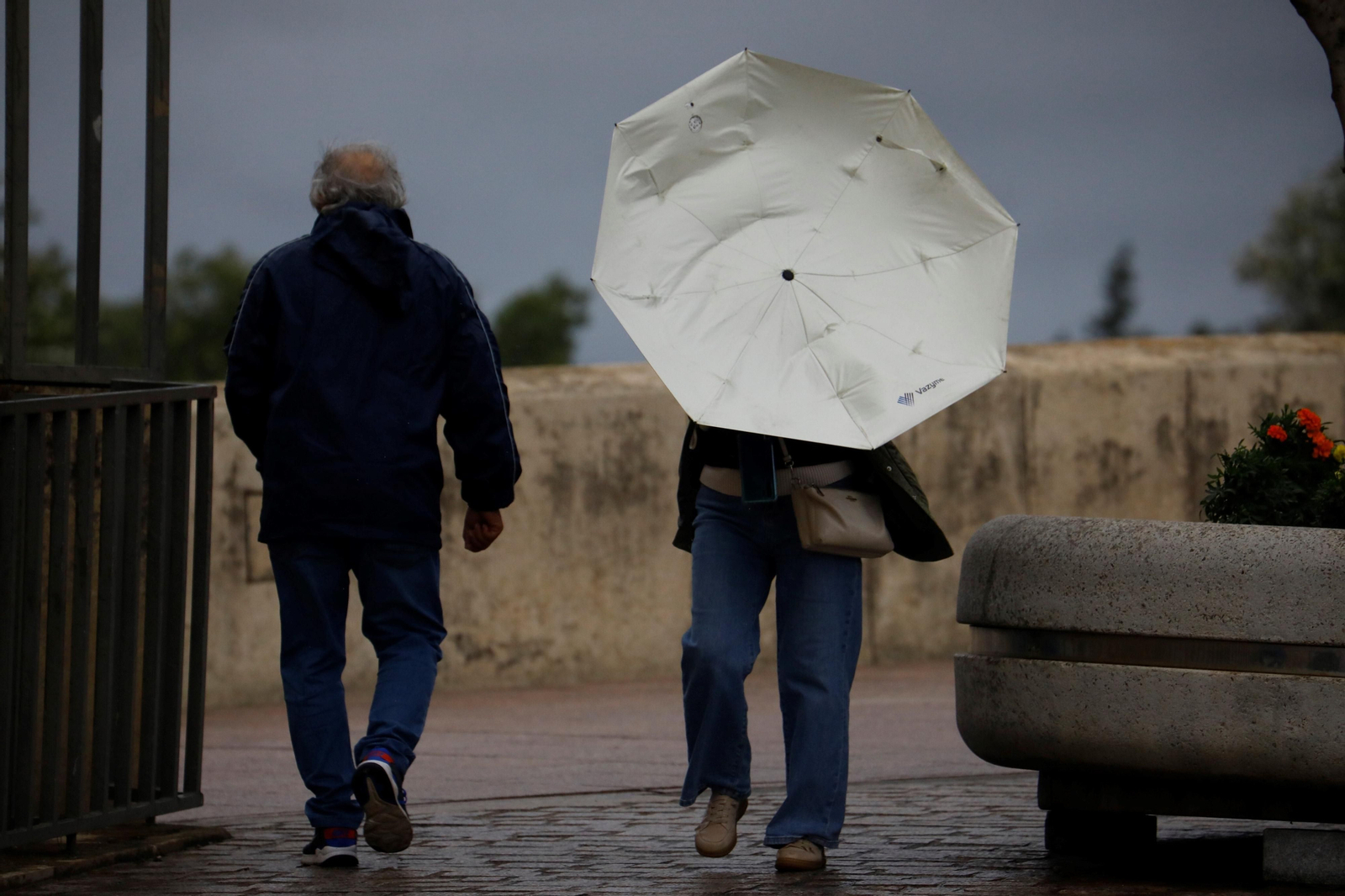El paso de la borrasca Aline por Córdoba, en imágenes