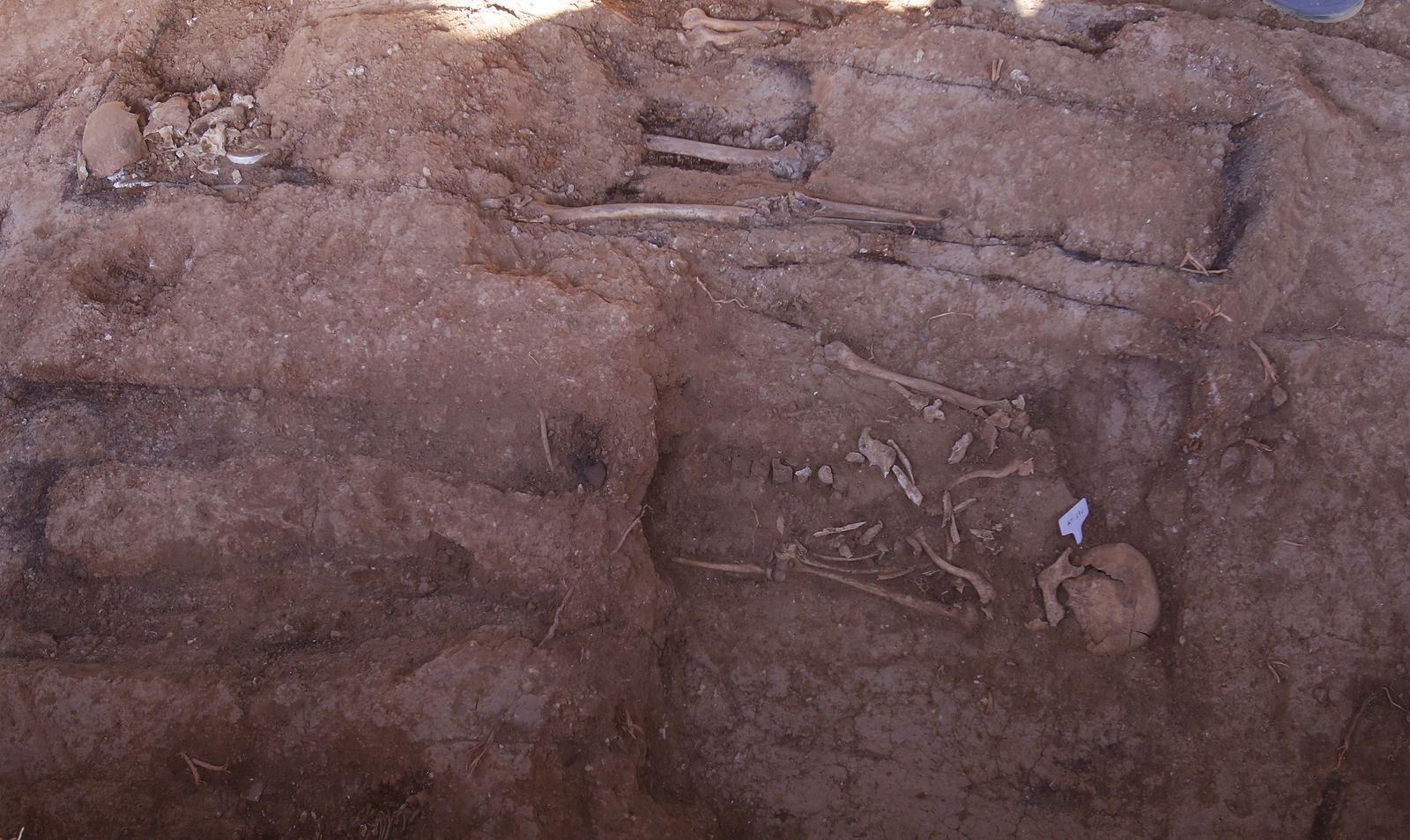 Visita a la fosa de Pico Reja