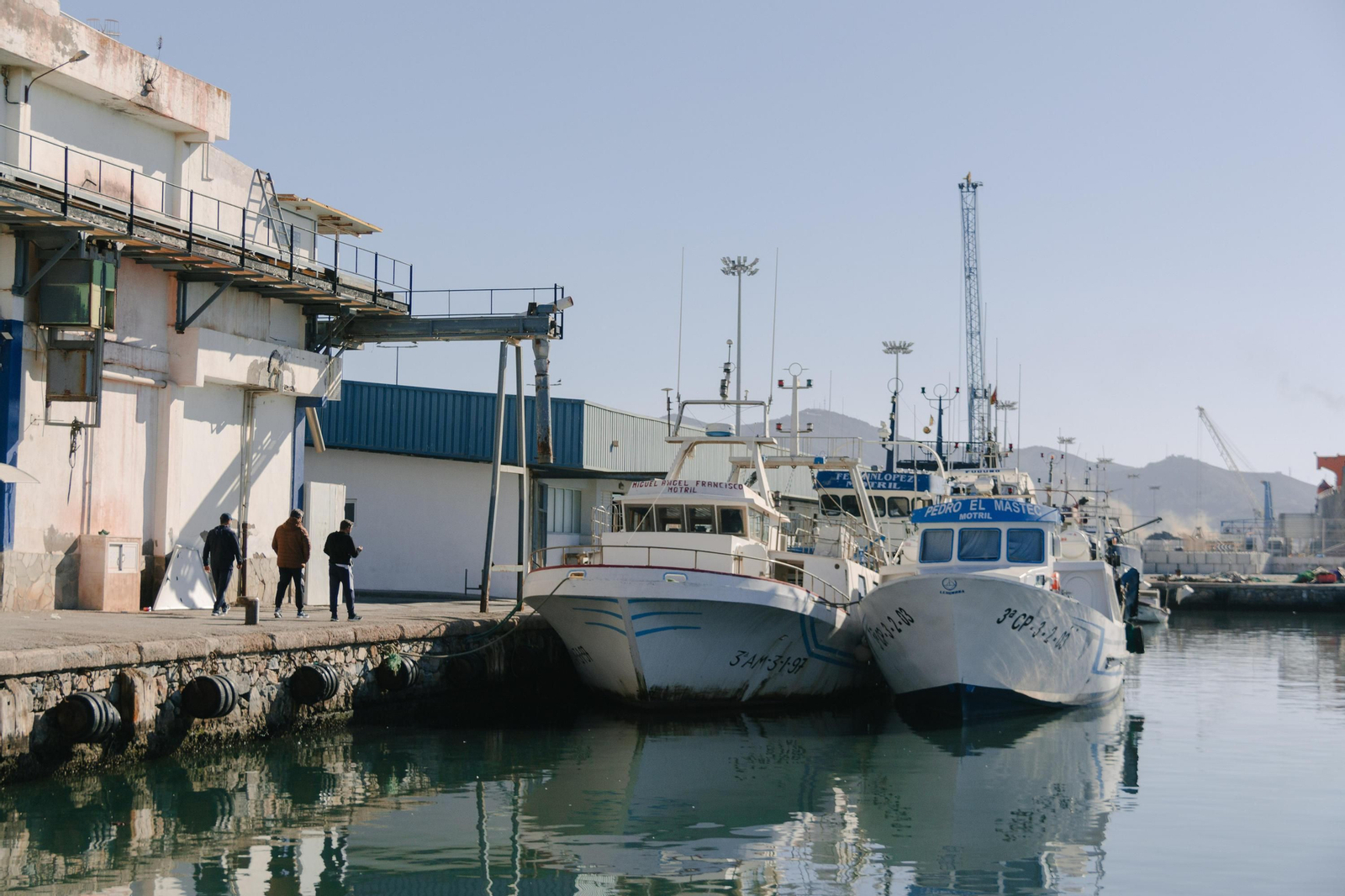 El paro de los transportistas en la Costa de Granada: la flota pesquera de Motril cumple su promesa y se queda amarrada en puerto