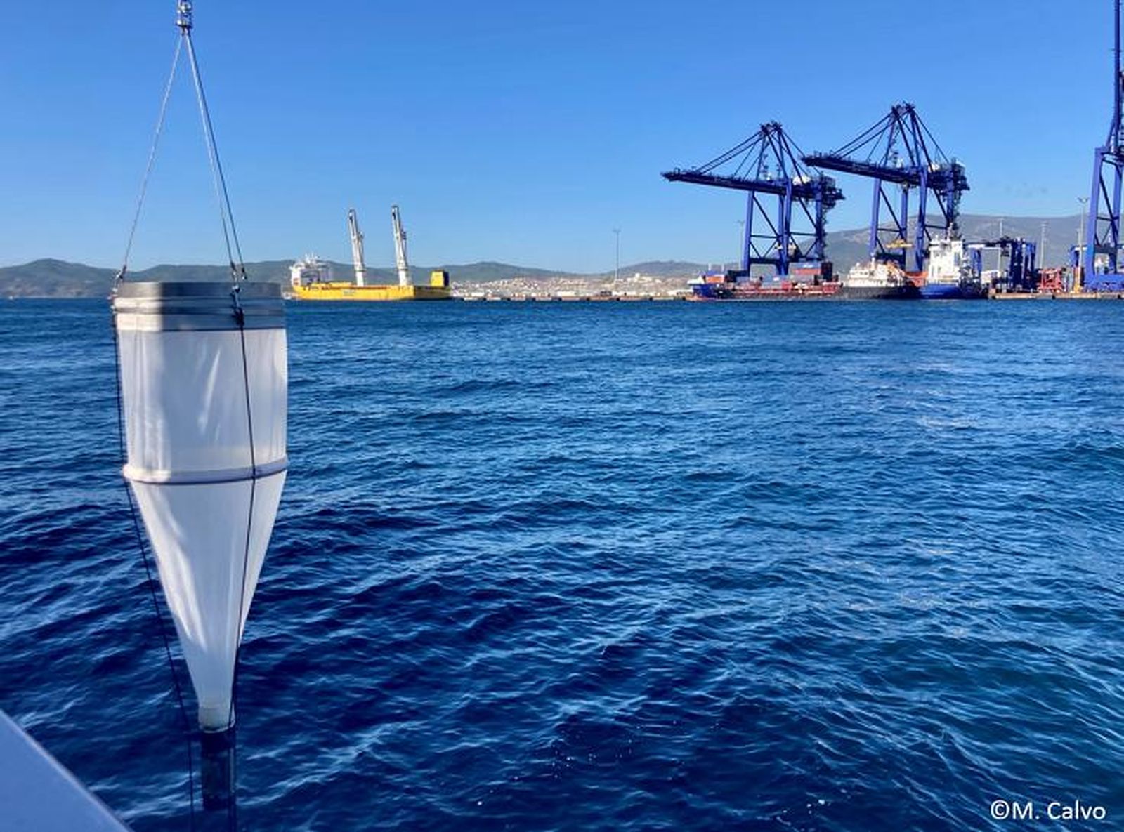 EMuestreo de zooplancton en el puerto de Algeciras.