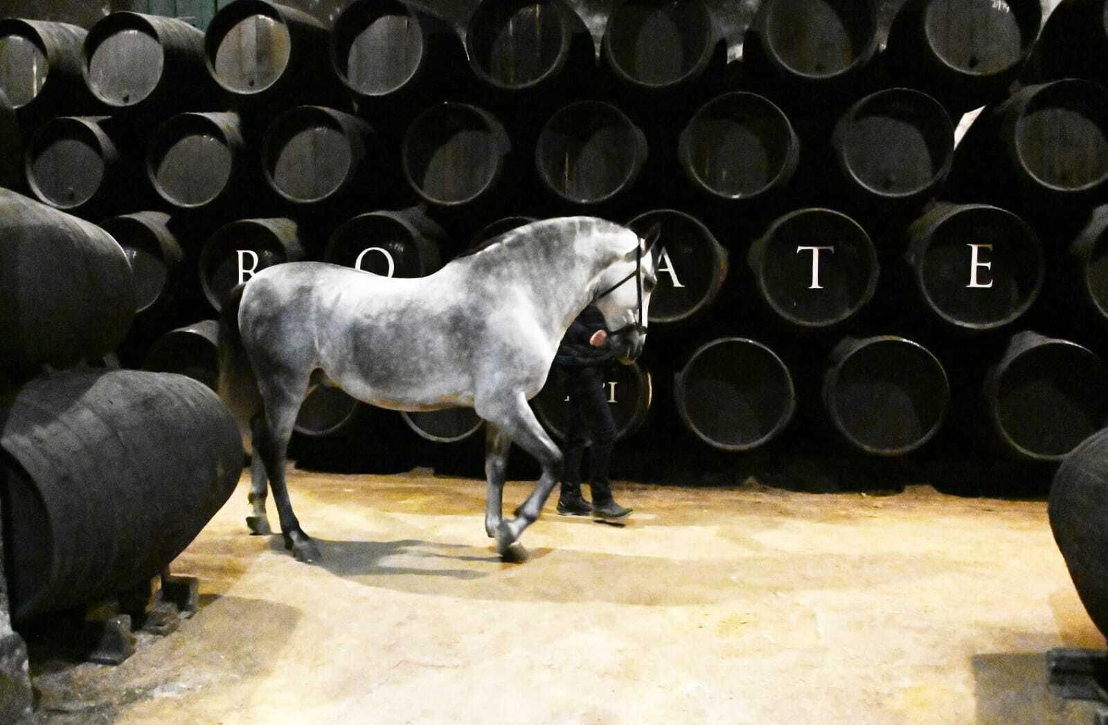 Galería fotográfica del rodaje de 'Siete Jereles'