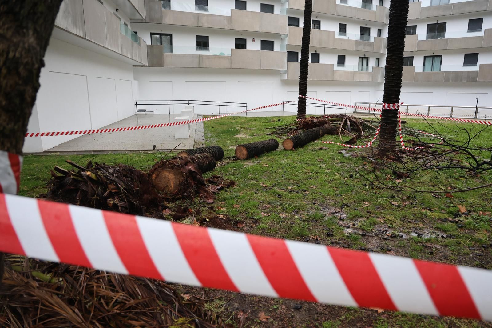 Fotografías de los destrozos de la borrasca Kristin en Huelva este miércoles