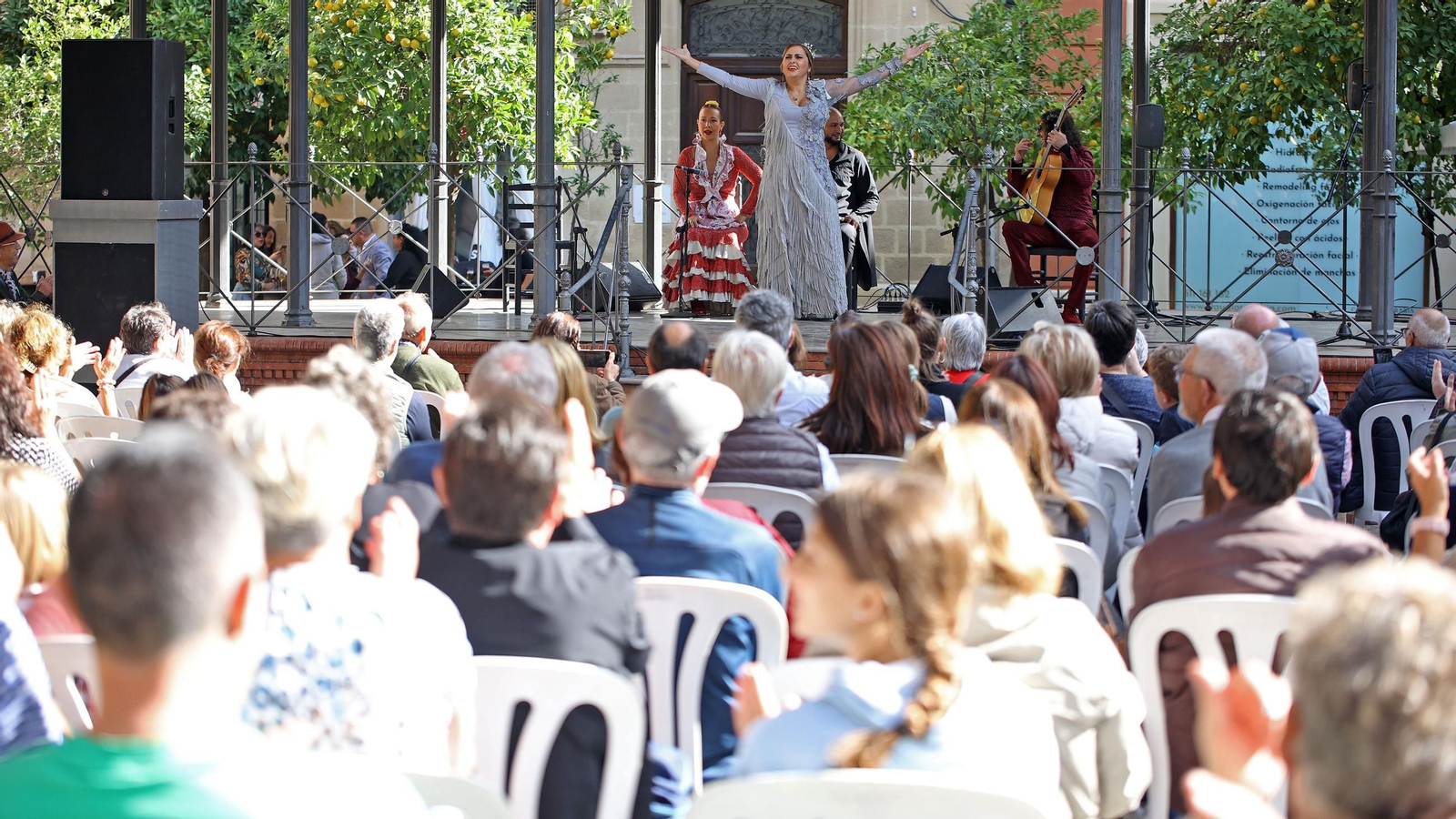 Imágenes del Día del Flamenco 2024 en Jerez