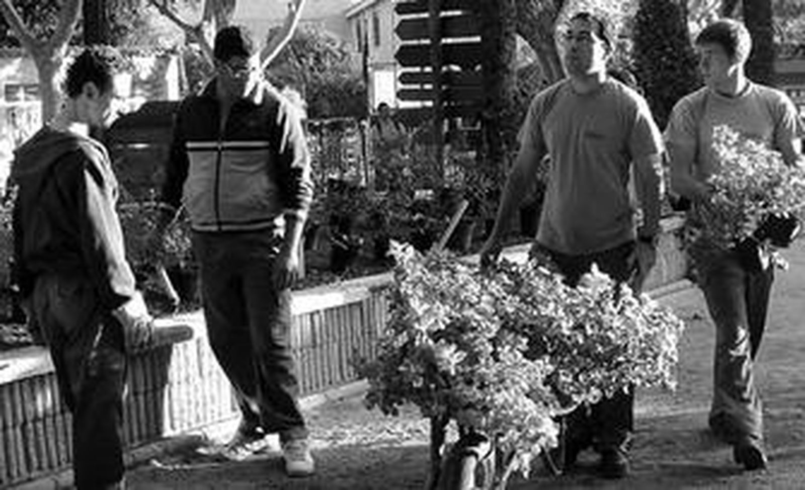 Ciclos de grado medio en Jerez