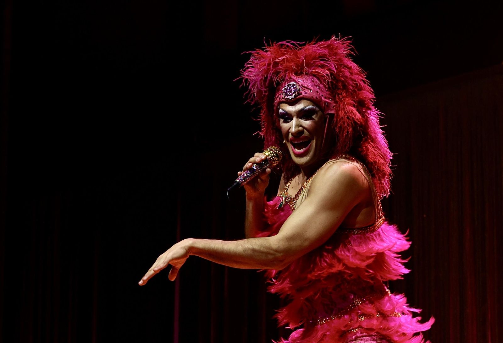 PRISCILLA, Reina del desierto