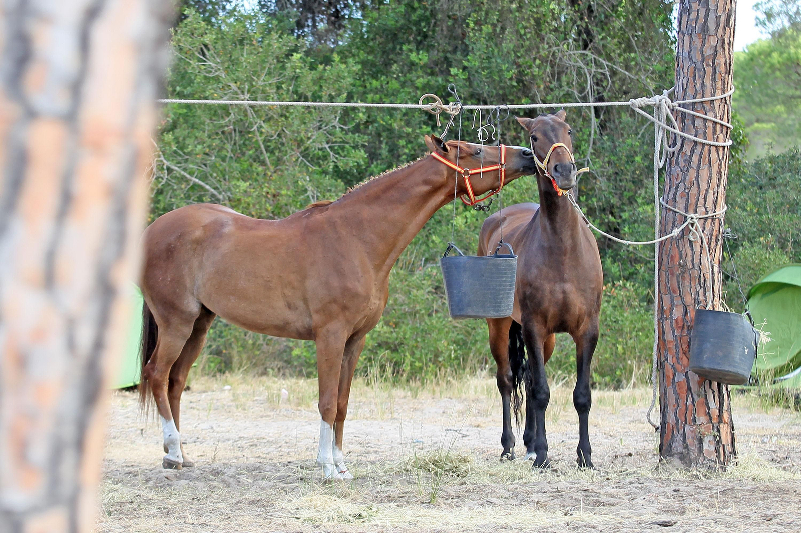 Viernes de duro camino por el Coto
