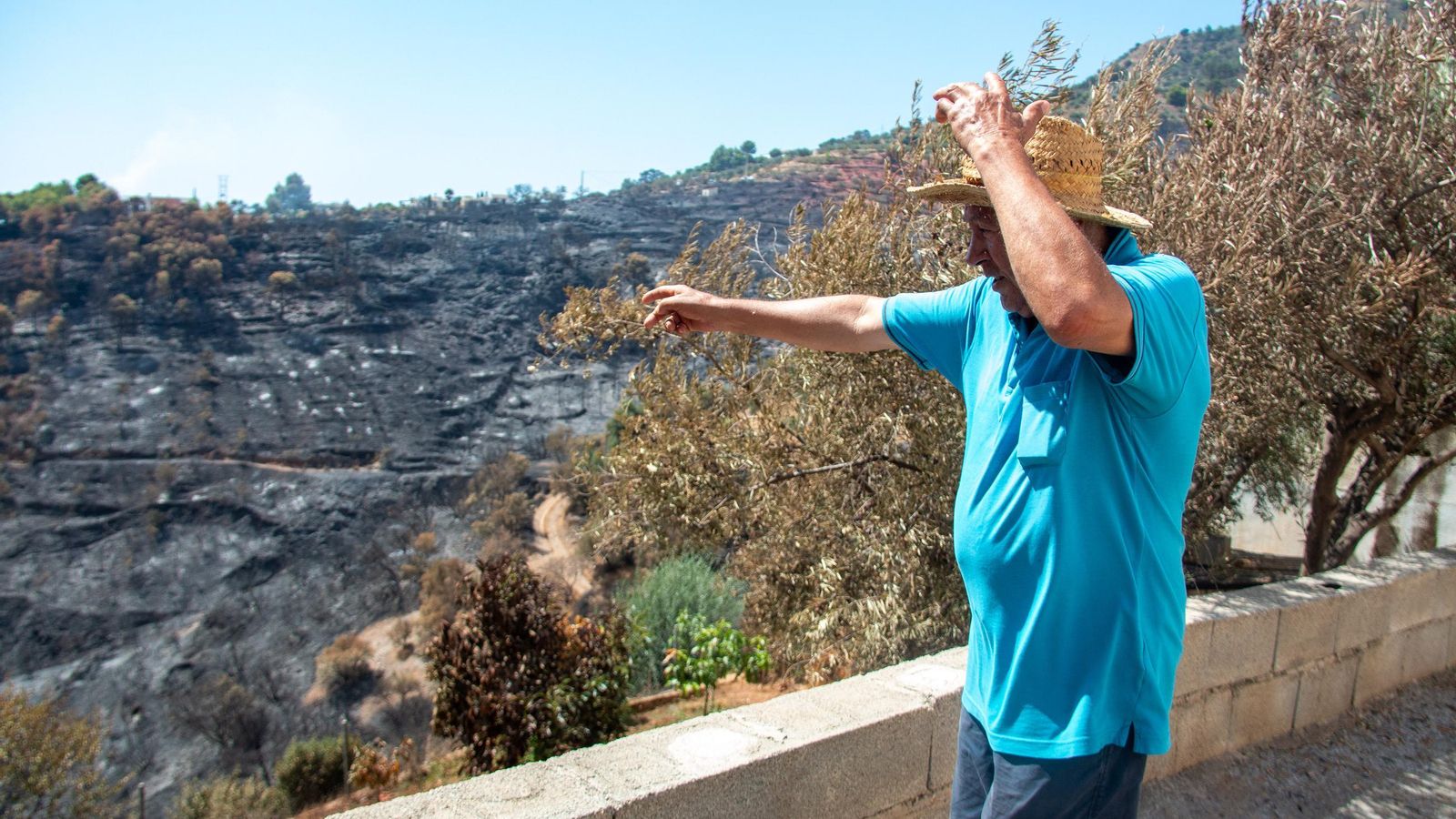Francisco Ortega, uno de los agricultores afectados, observa la zona quemada