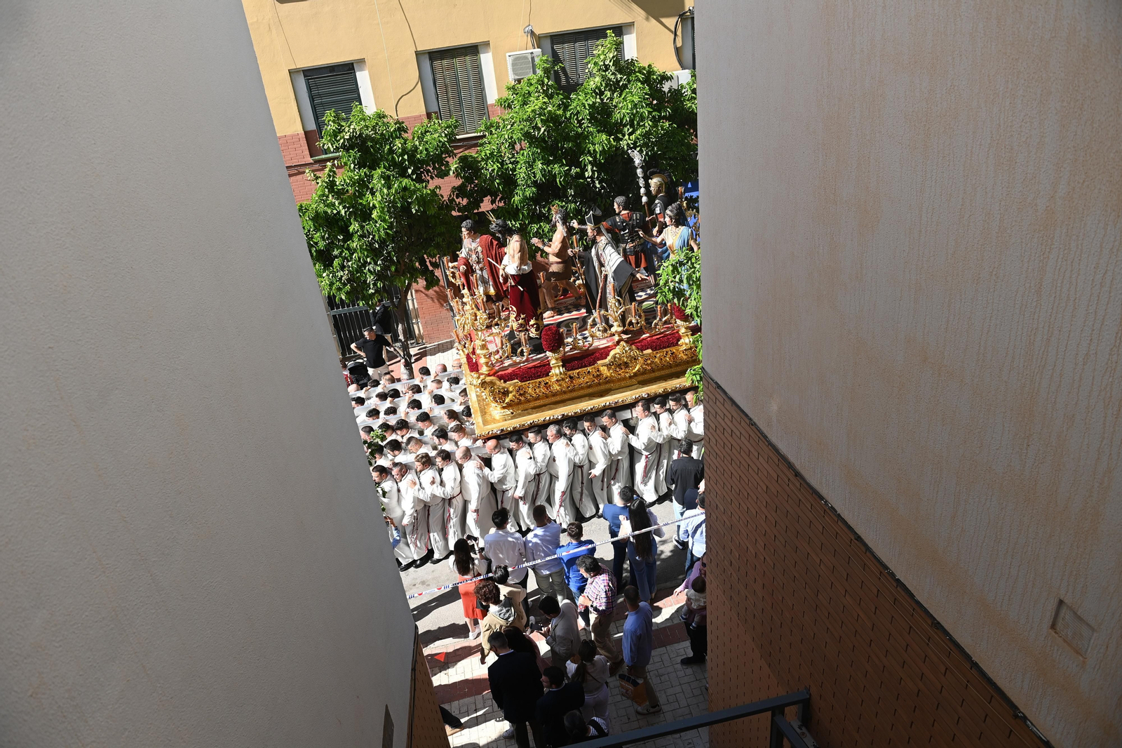 Humildad en su procesión del Domingo de Ramos de Málaga, en fotos