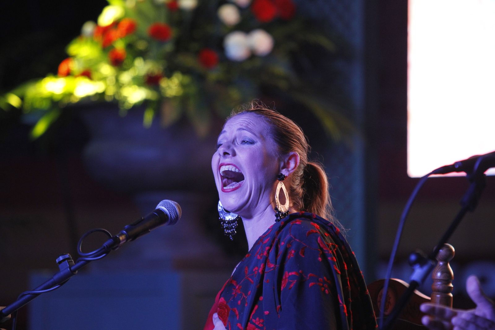 Fotogalería presentación carteles Feria Taurina Roquetas de Mar 2019