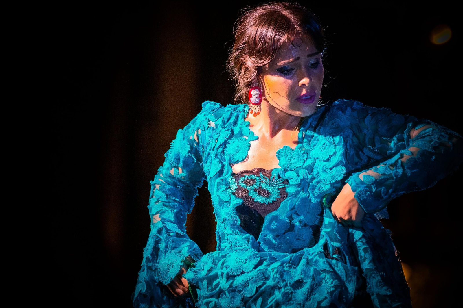 La Isla Ciudad Flamenca: Noche de baile en el Parque de San Fernando