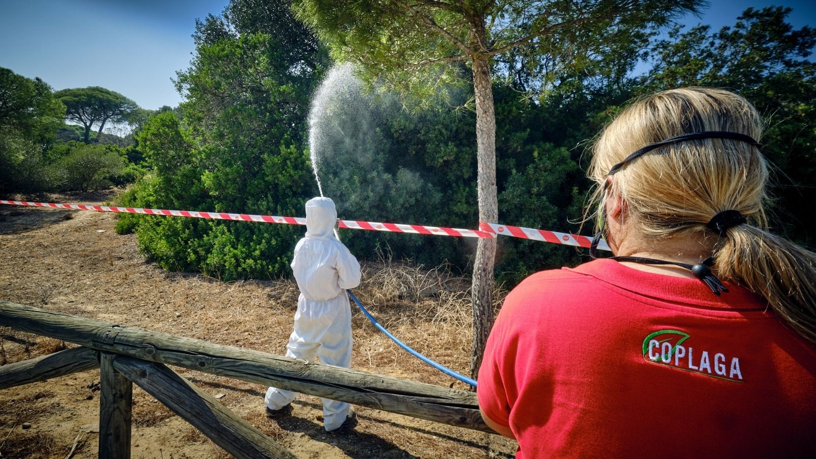 Un operario fumiga una zona verde en Puerto Real dentro de las actuaciones contra el virus del Nilo.