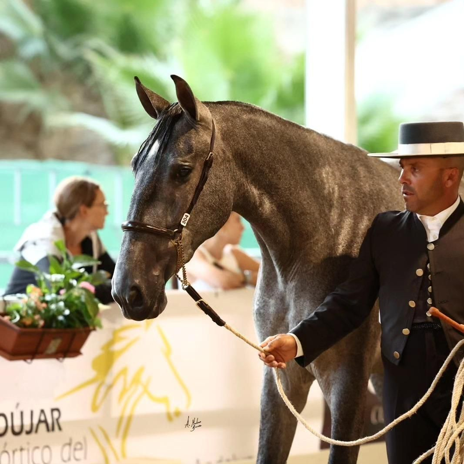Así es el bello concurso de caballos de Andújar, en imágenes
