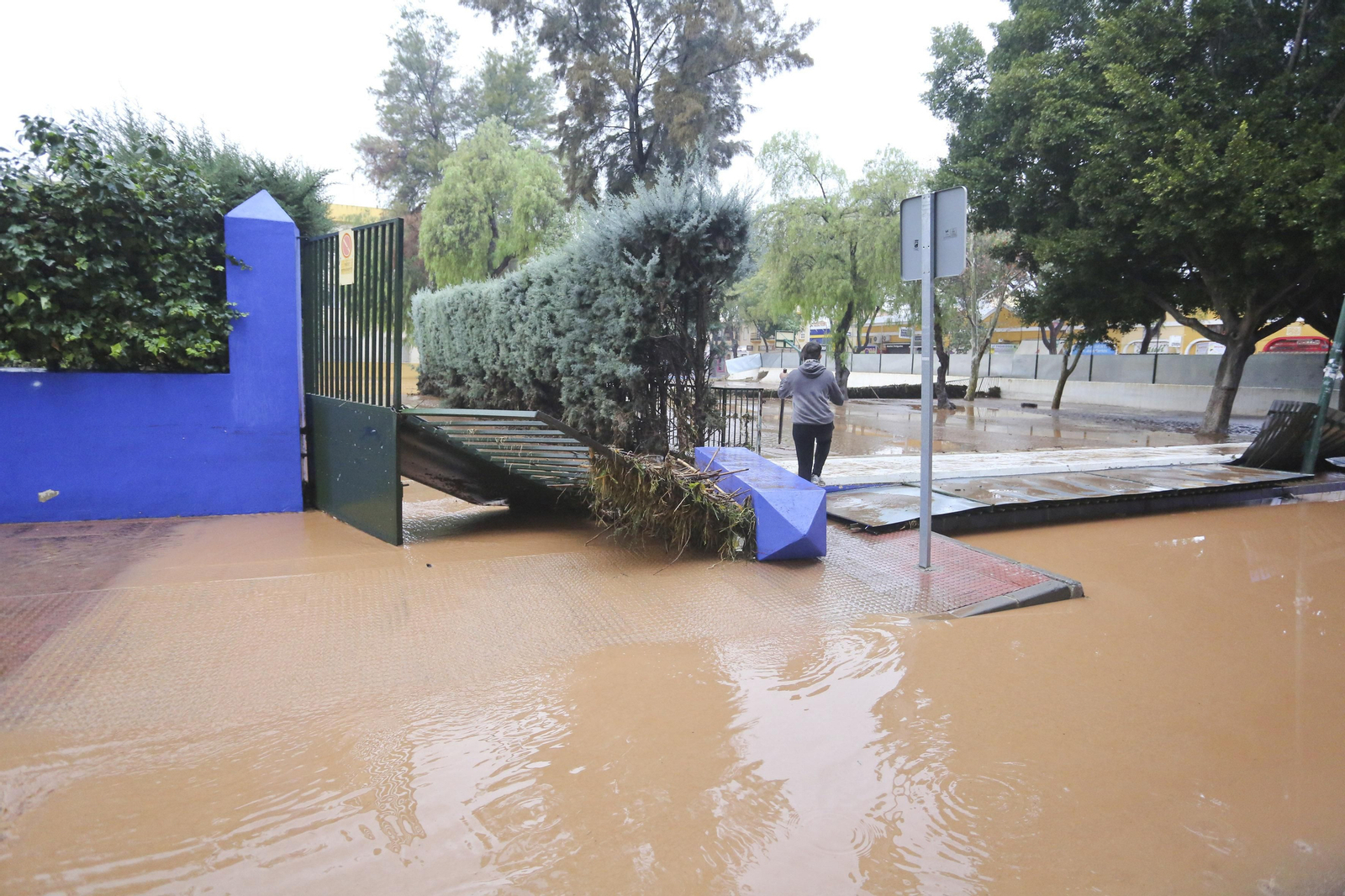 Las fotos de Campanillas inundada por el desbordamiento del río