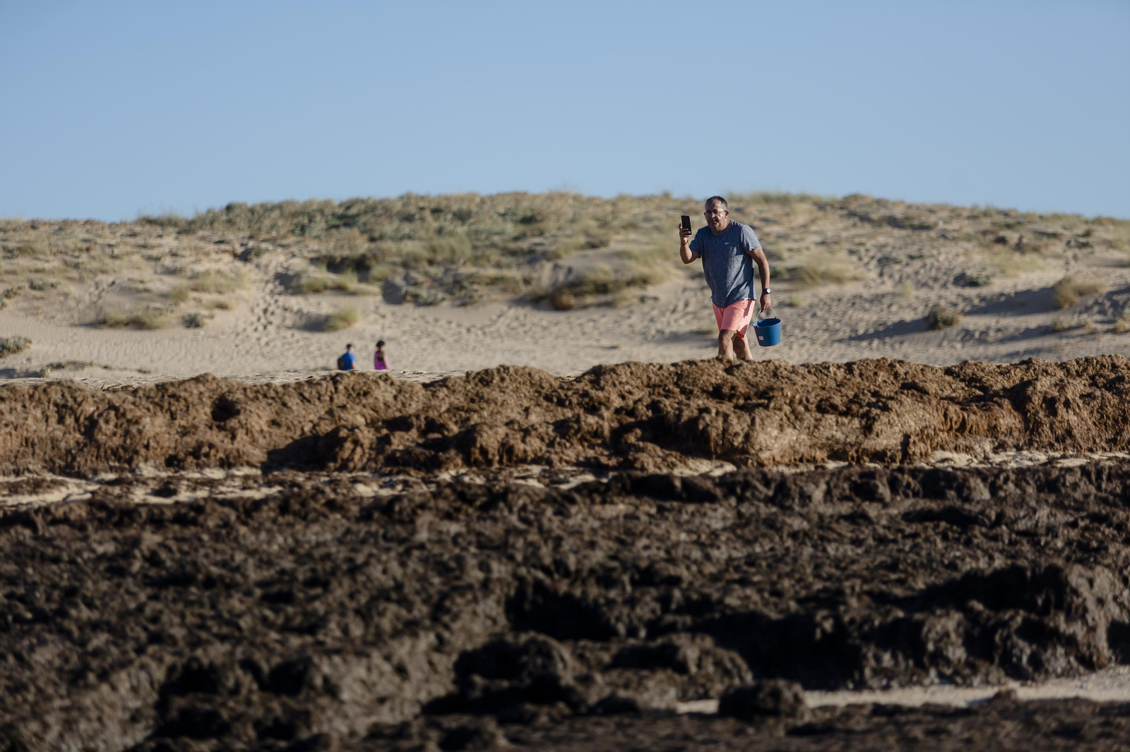 El alga asiática invade de nuevo la playa de Los Caños de Meca