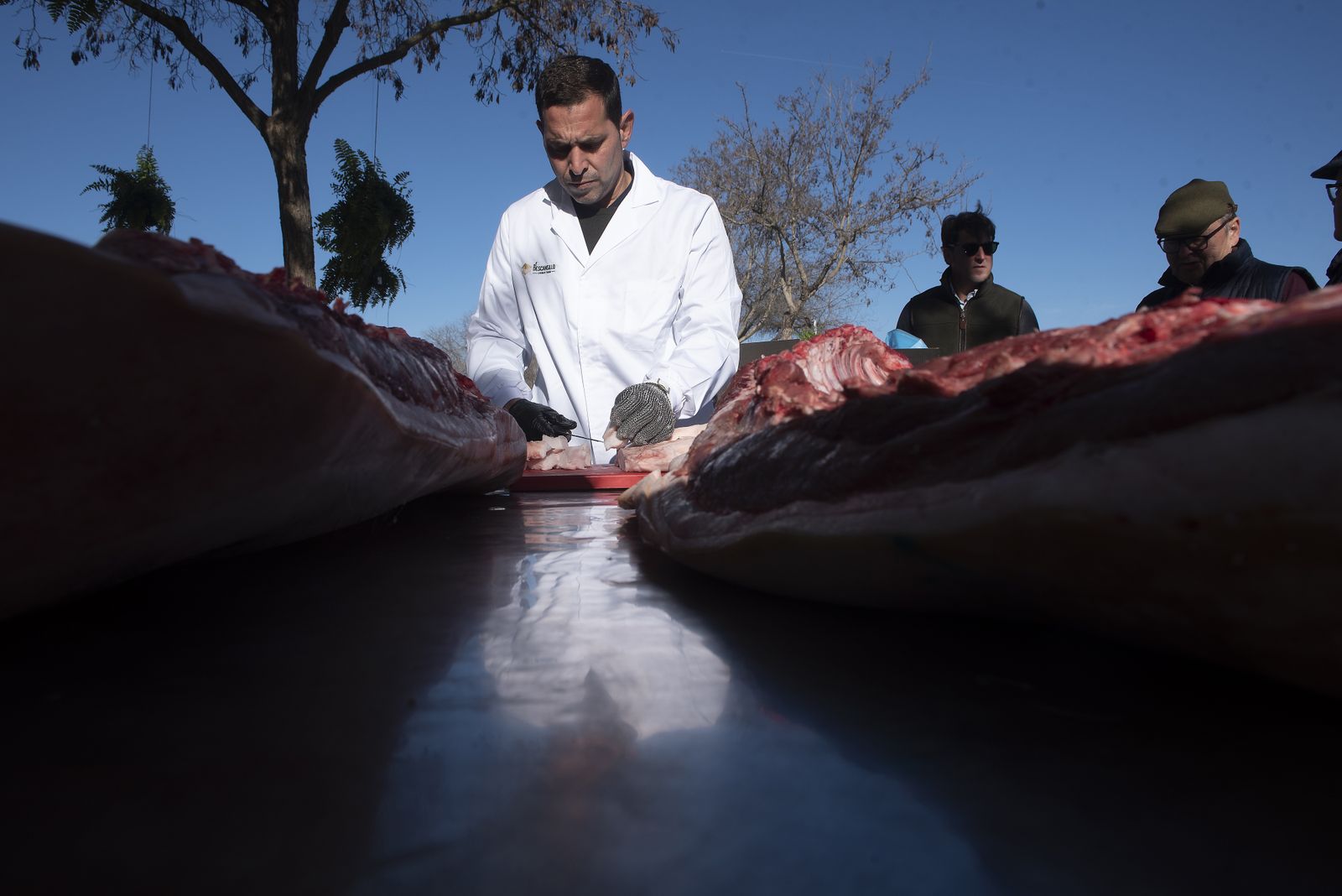 Un día de matanza en una finca sevillana