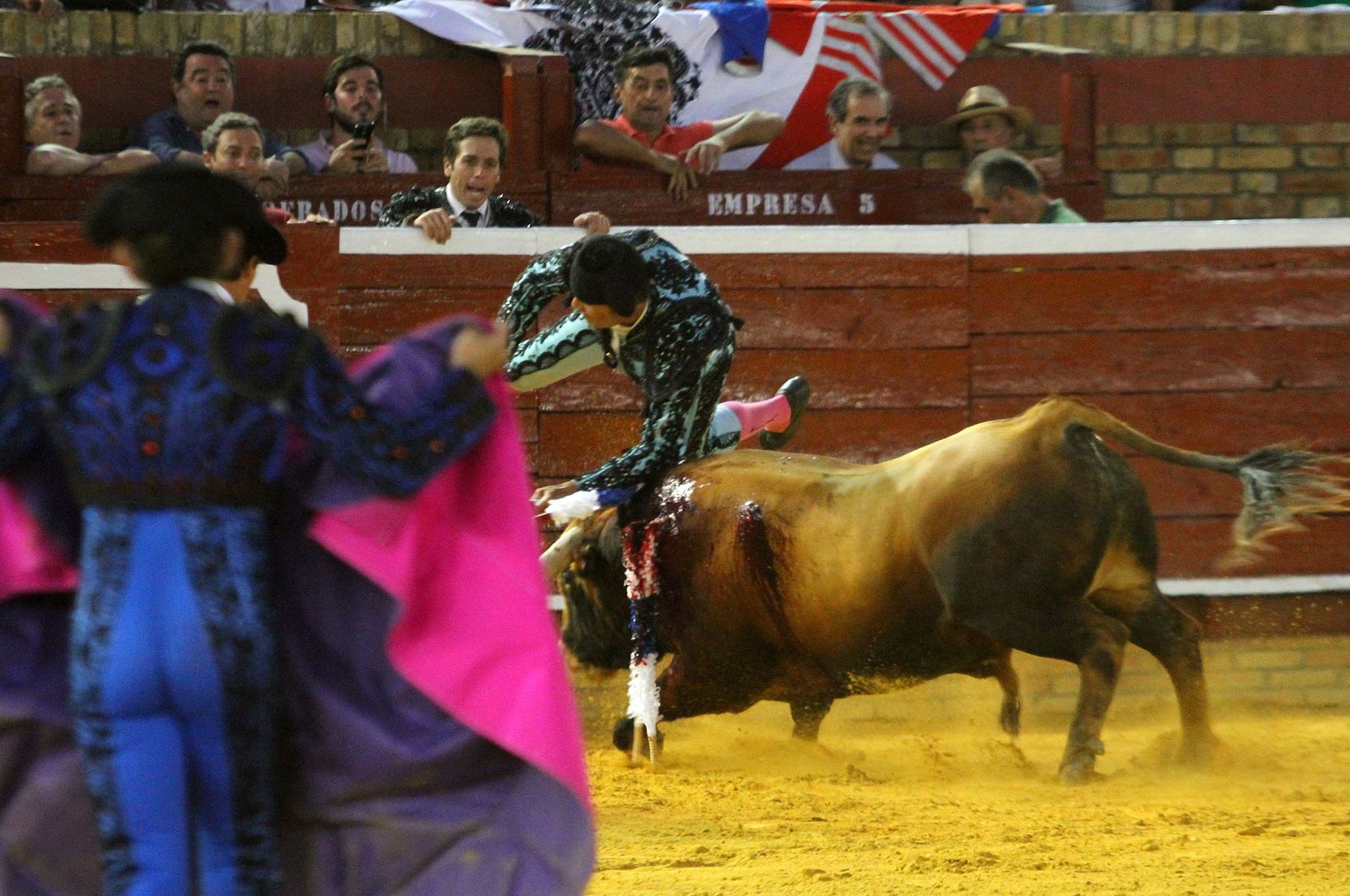 Imágenes de la Novillada de Rafael Serna, Emilio Silvera y Rodrigo Molina.