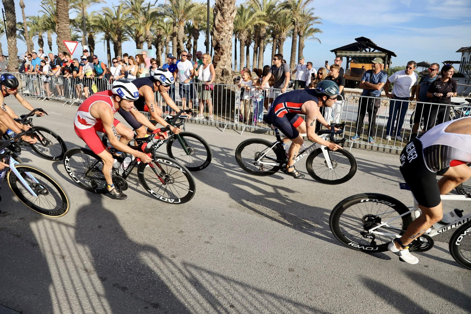 Las fotos de las finales de las Series Mundiales de triatlón en Torremolinos