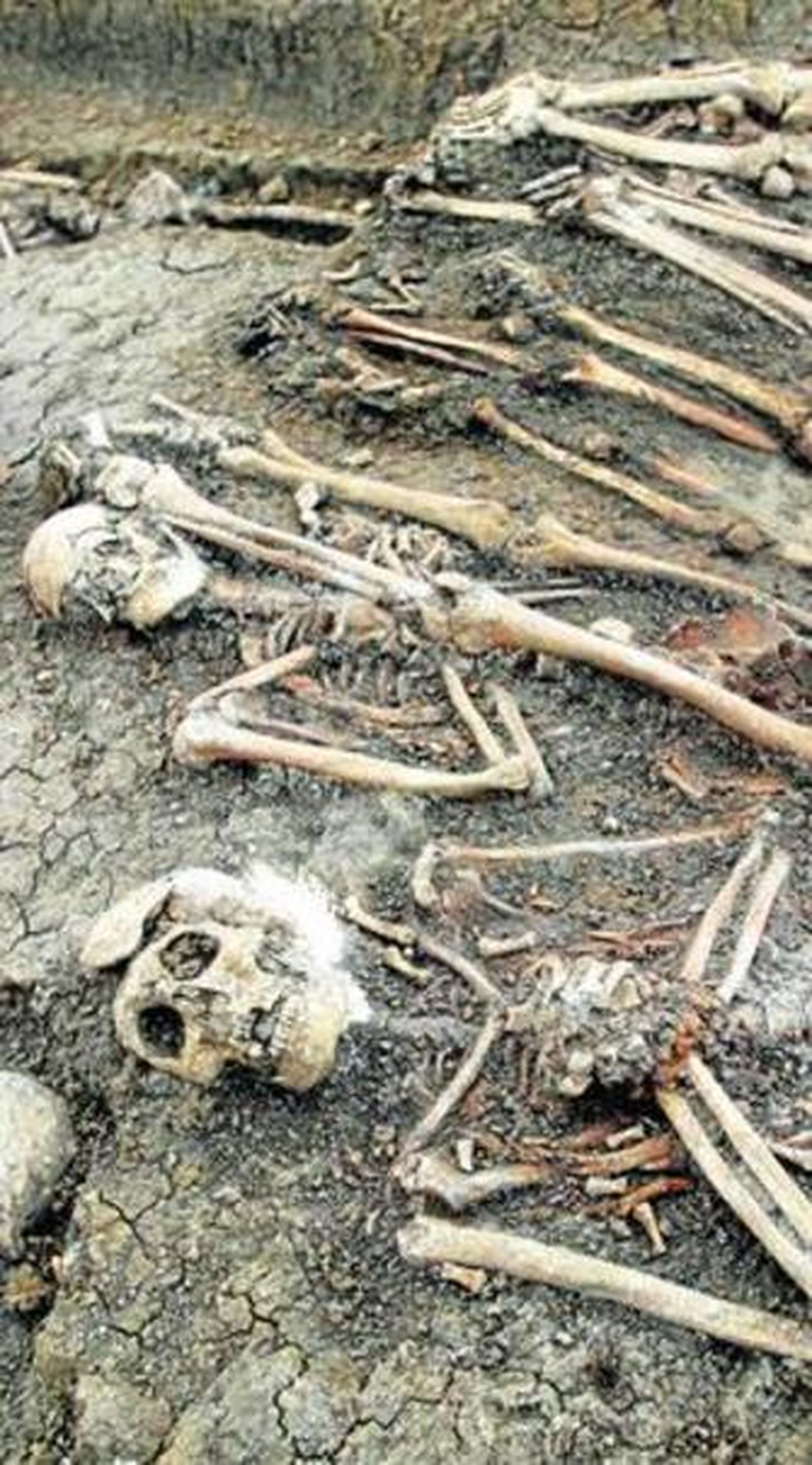 Restos de asesinados en una de las fosas del antiguo cementerio de San Rafael.