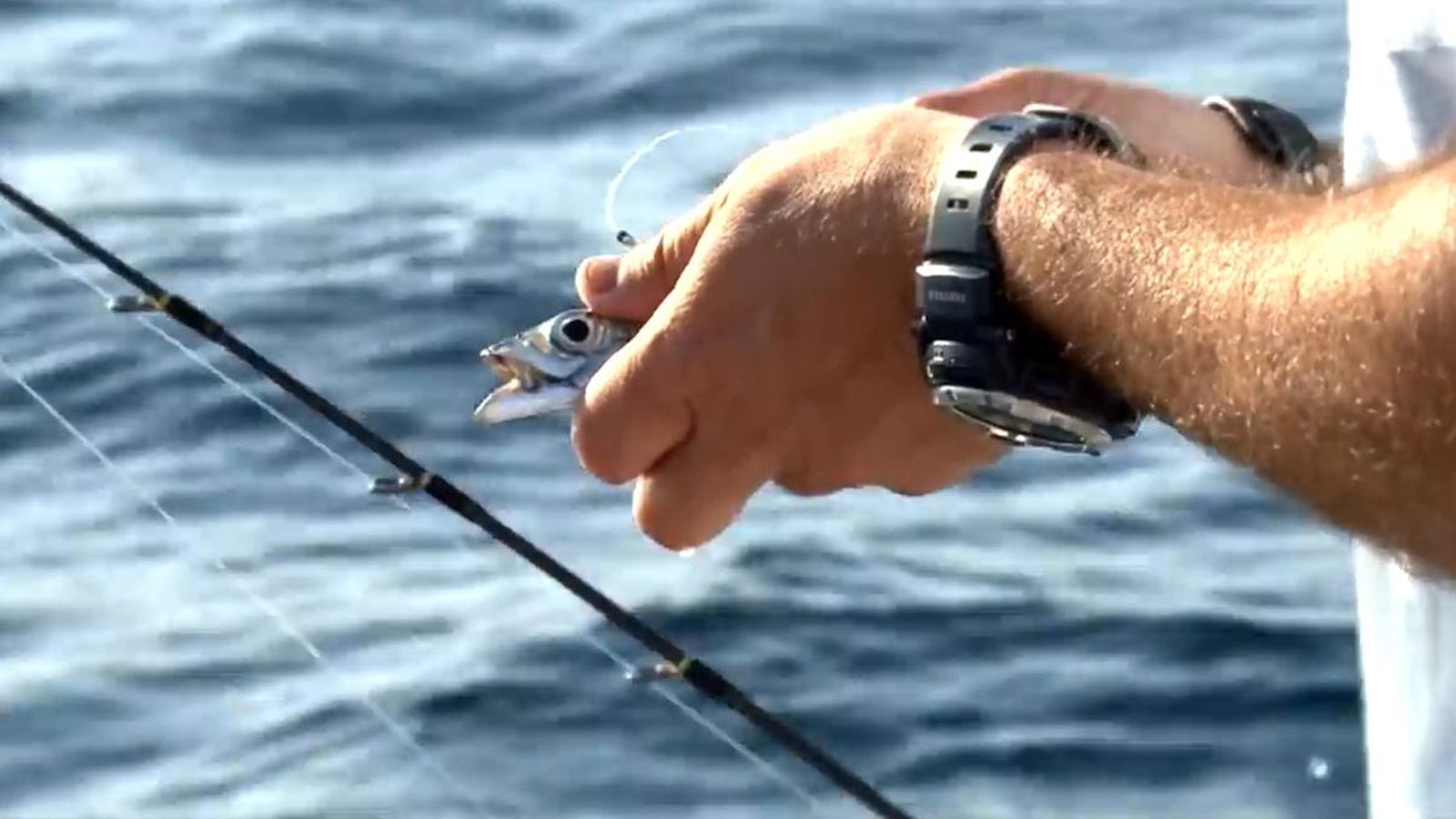 Manaute practica la modalidad de pesca al vivo para capturar los preciados pargos