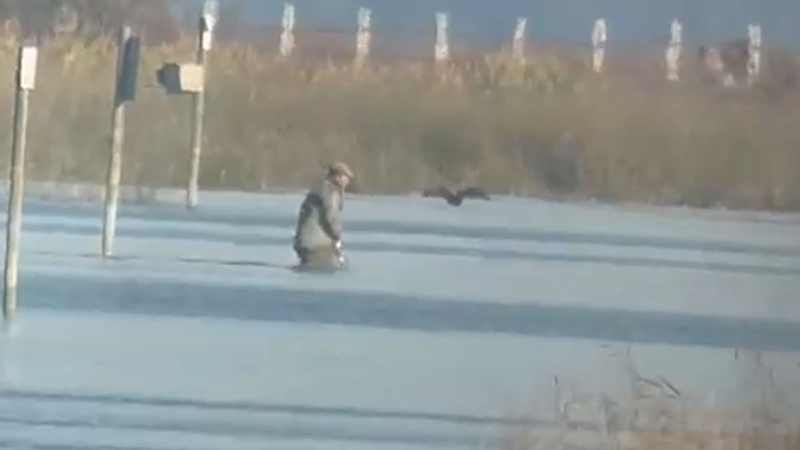 Investigado por matar un ave protegida en Aznalcázar