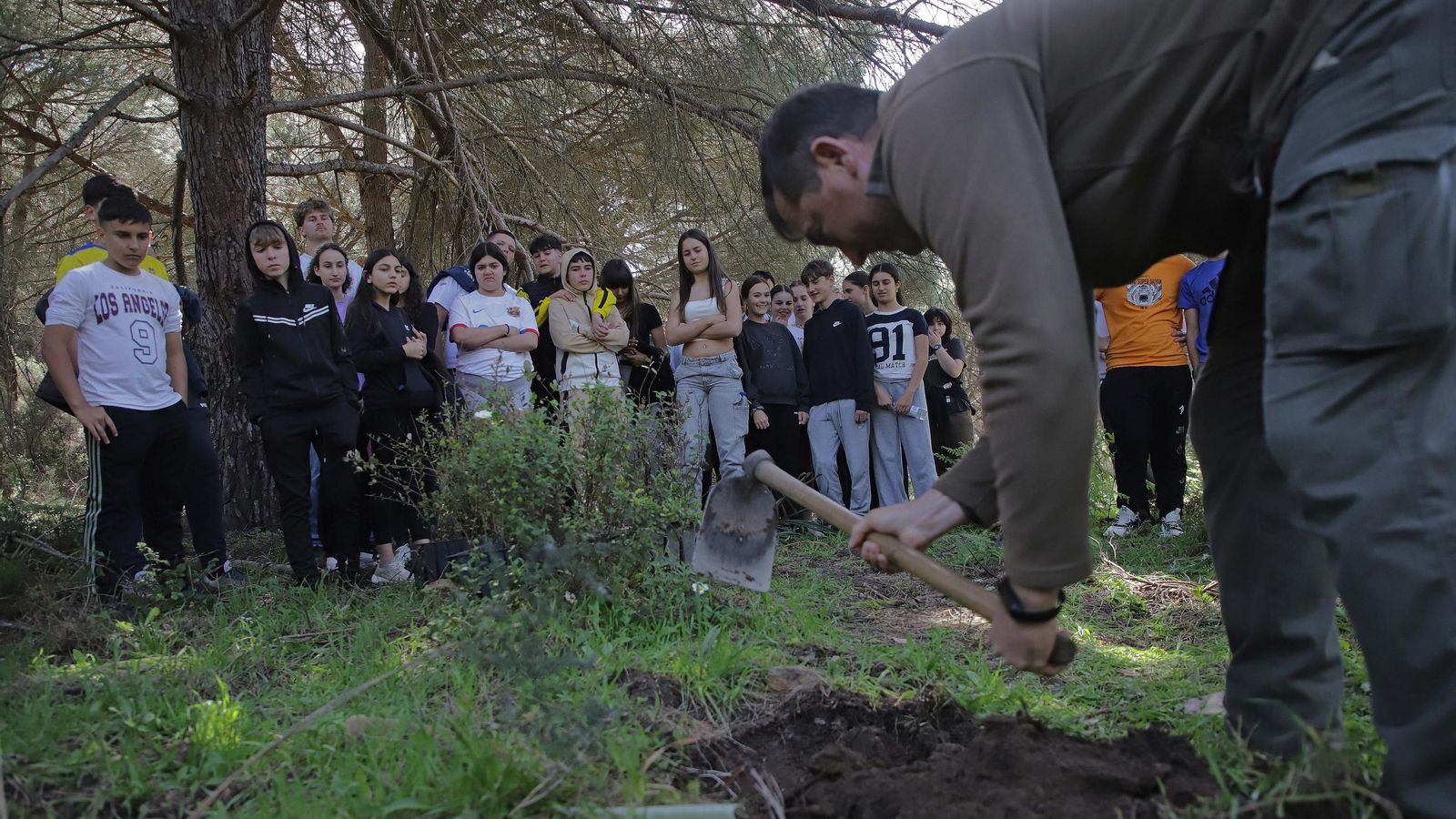 Fotografías de la plantación del programa 'Reverdece' de Acerinox Fotografías de la plantación del programa 'Reverdece' de Acerinox