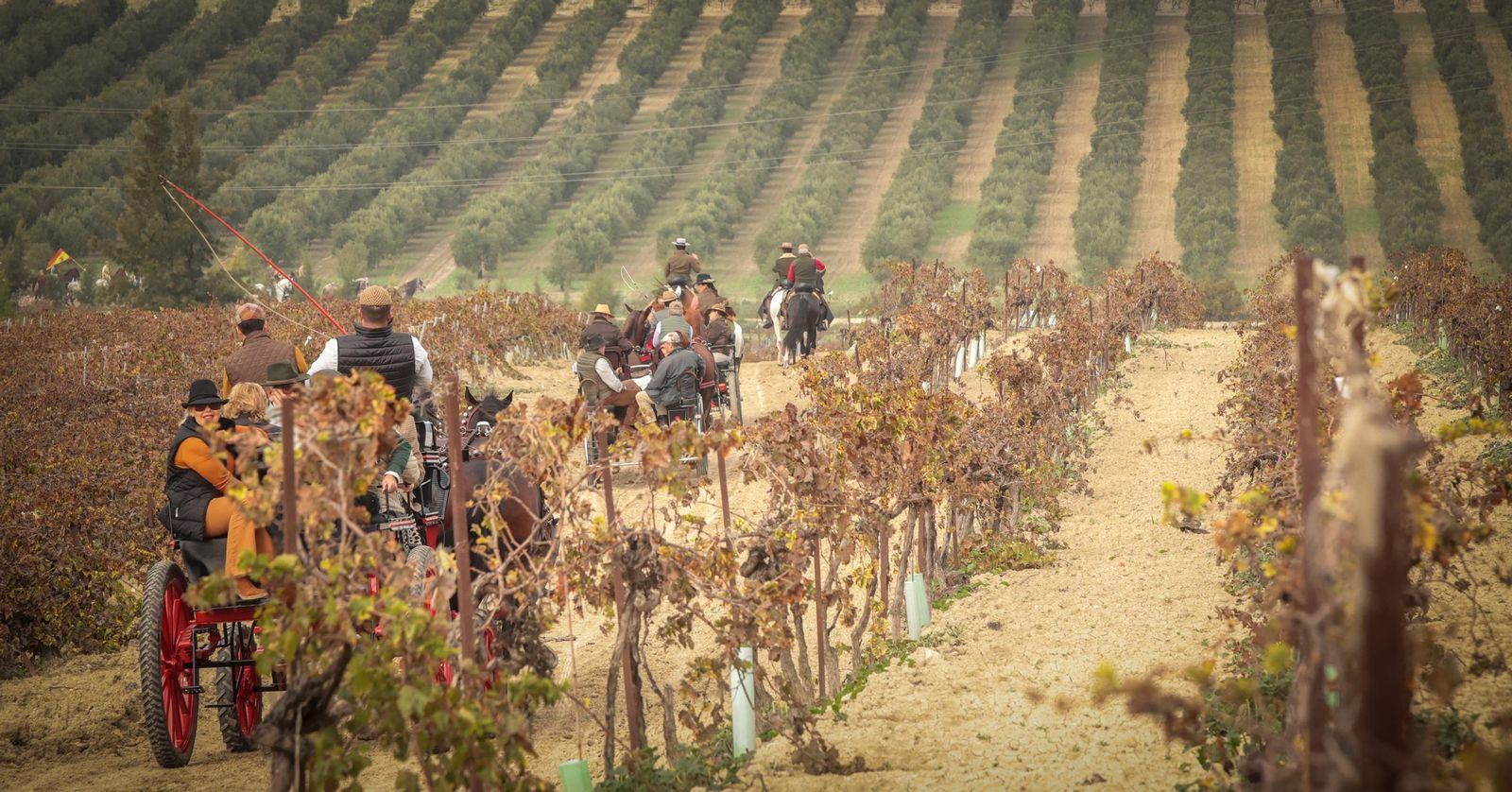 Búscate en la III Ruta Viñas de Jerez de Enganches