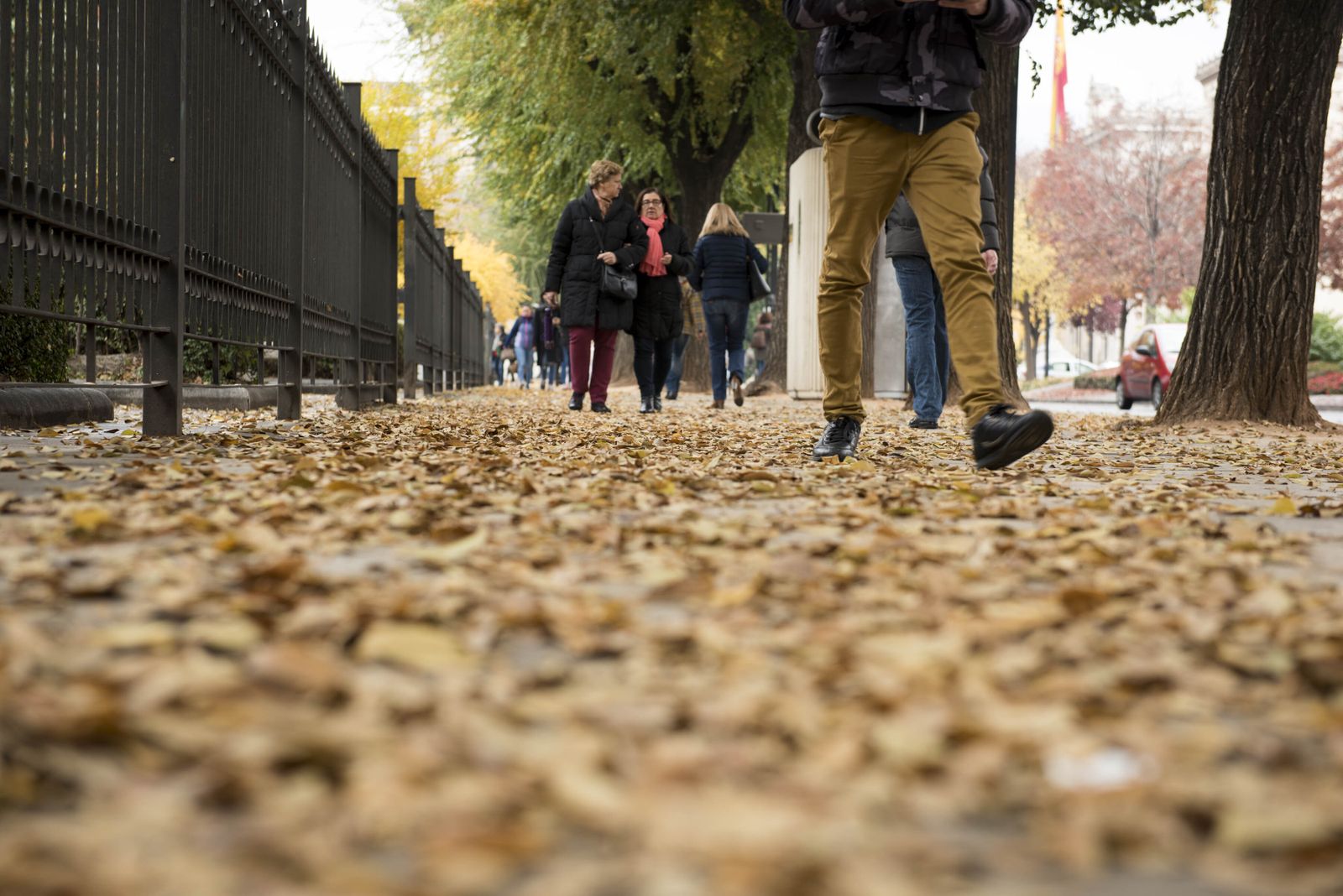 Cuatro lugares en Granada que son perfectos para visitar en otoño