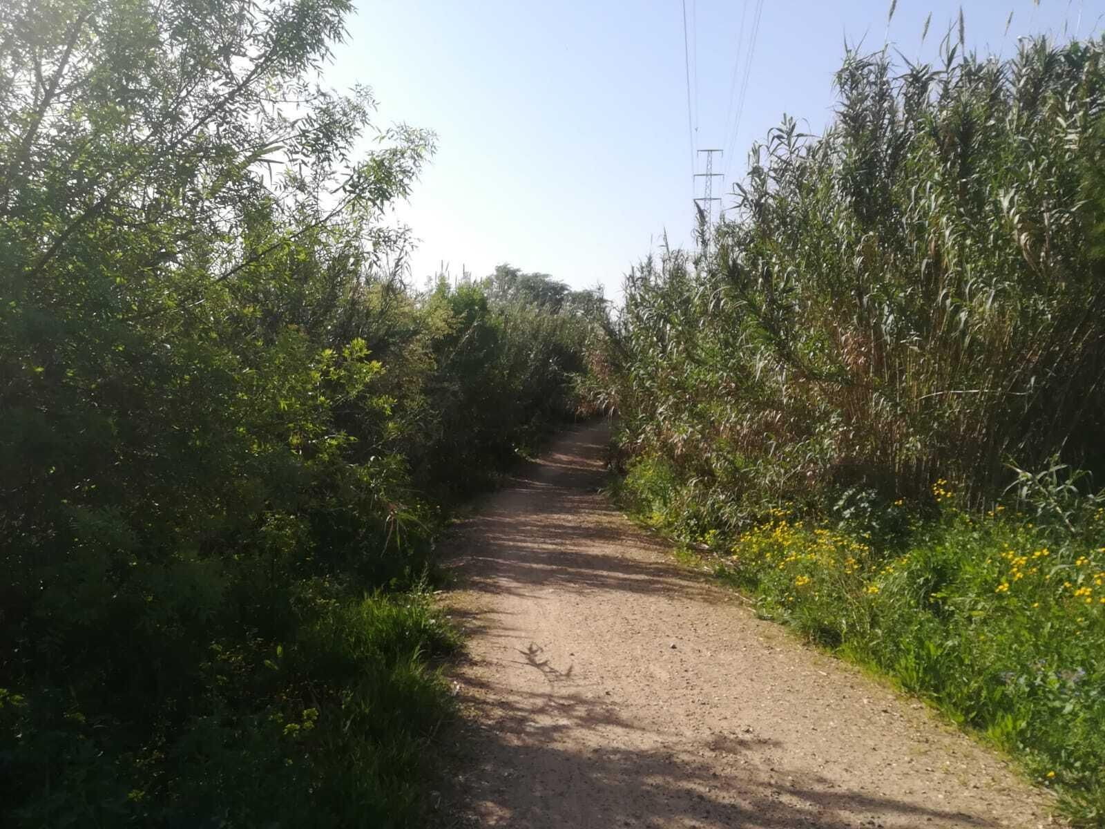 La ruta del Río Pudio por Espartinas, en imágenes