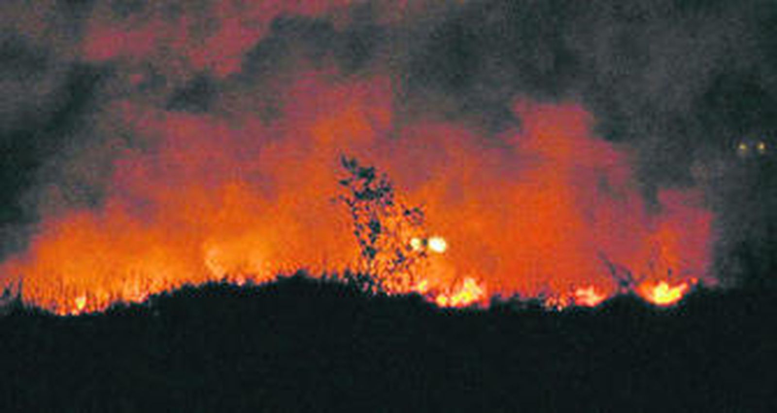La imagen del fuego en la oscuridad de la noche fue espectacular.