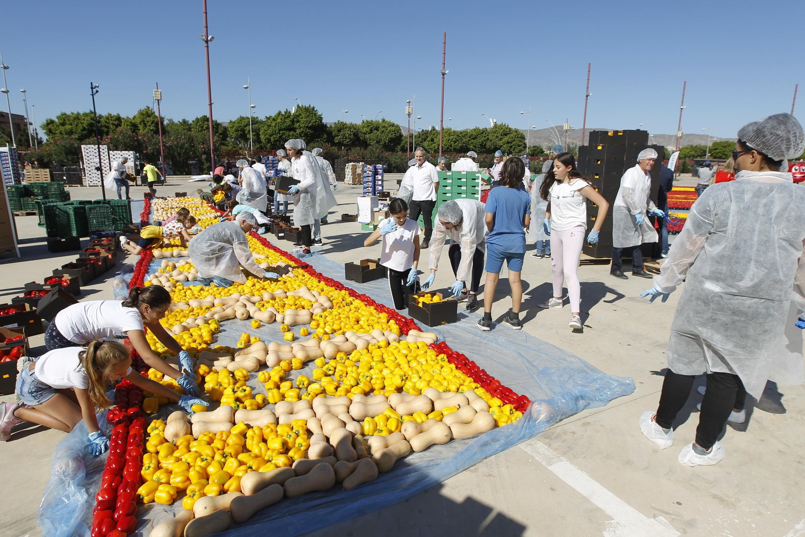 Fotogalería Récord Guinness Corazón Hortalizas Almería