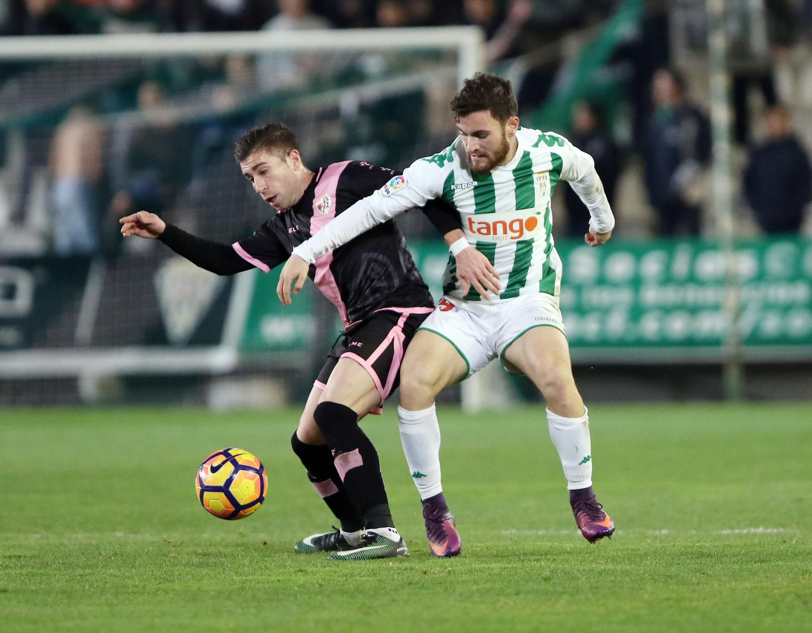 Córdoba-Rayo Vallecano, en imágenes