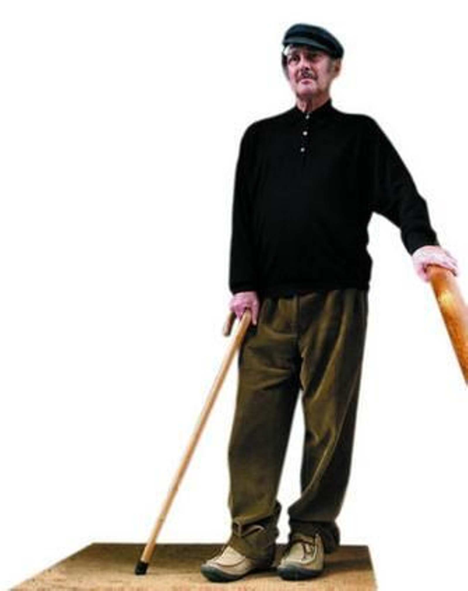 Harold Pinter y el cine