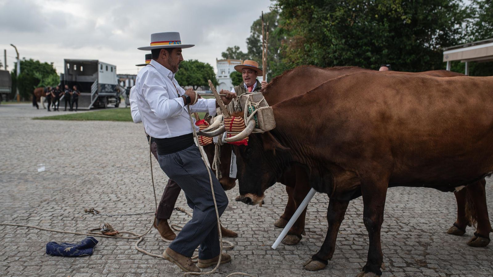 Las fotos de la salida de la Hermandad Castrense de Nuestra Señora del Rocío