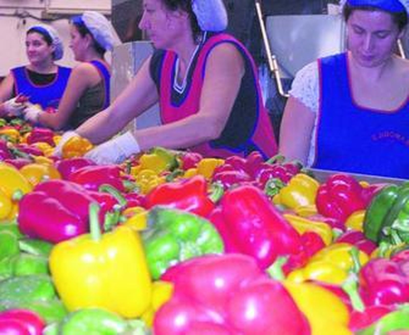 Realizar un mismo movimiento de forma repetitiva puede causar daños en las muñecas.