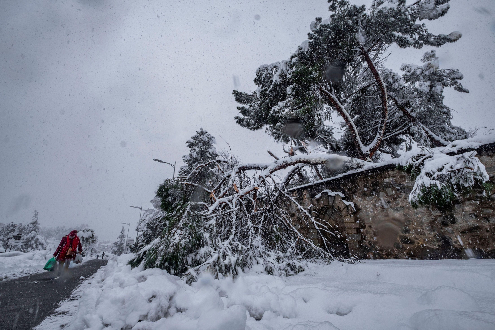 El segundo día del temporal 'Filomena' en imágenes: más nieve y caos