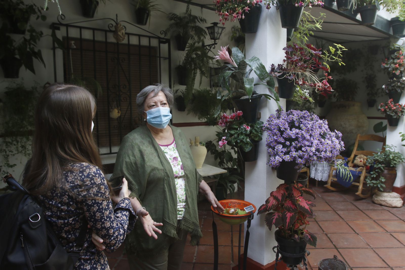 Las fotografías de los Patios de Córdoba en otoño