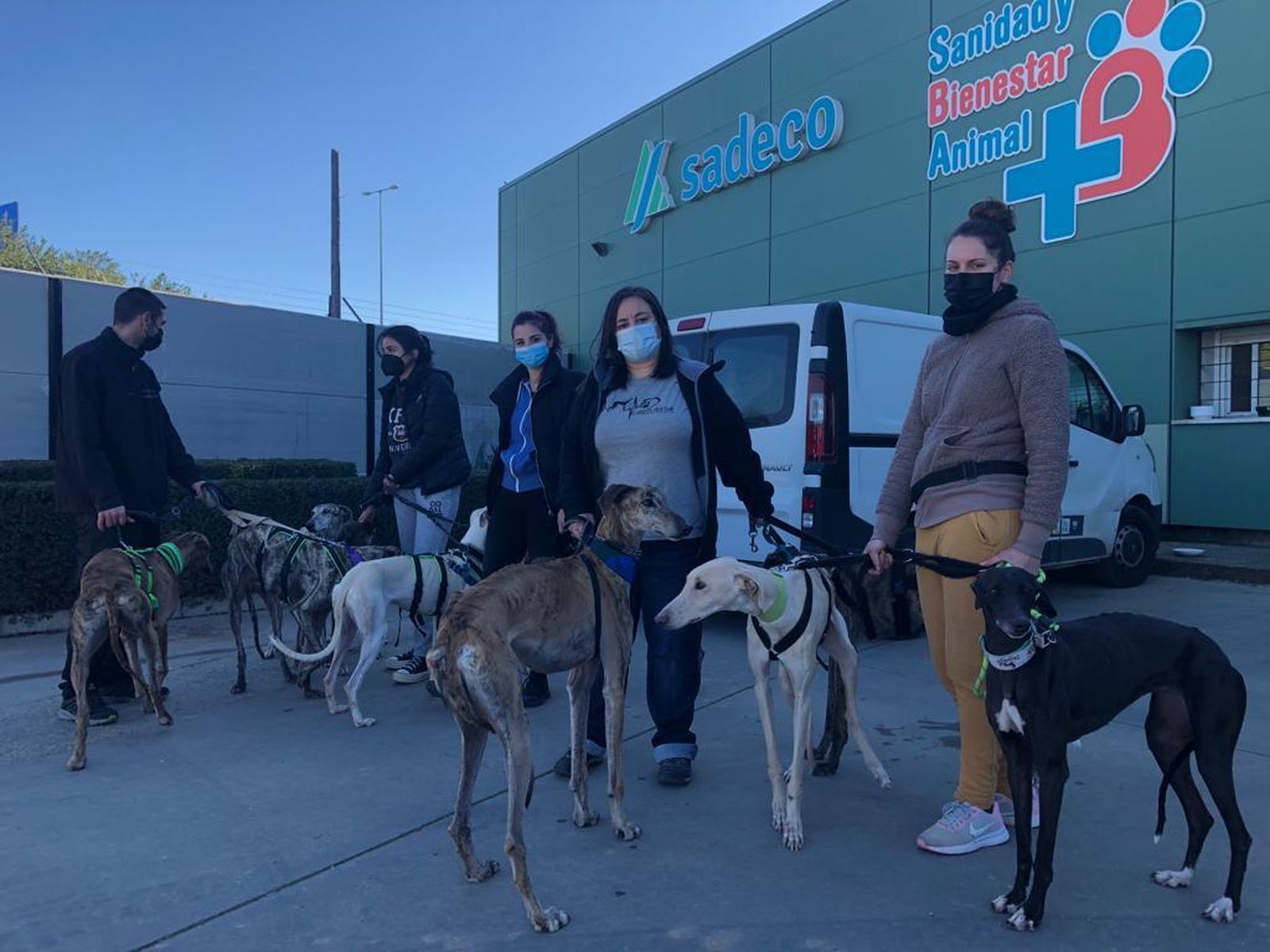 Miembros de Galgos del Sur, con los galgos rescatados de la perrera.