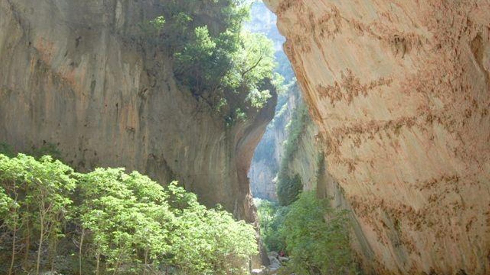 Imagen del sendero de la Garganta Verde.