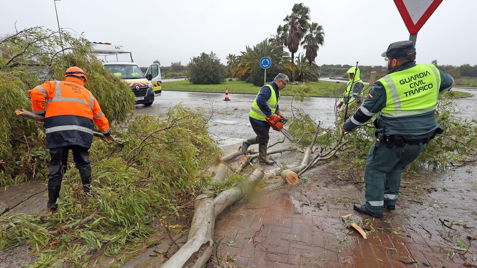 Imágenes del temporal de viento y lluvia en Jerez
