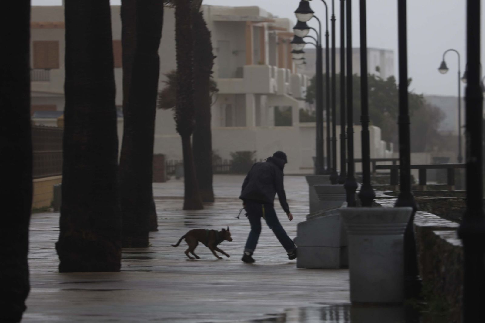 Fotos de los efectos de la borrasca Leonardo en Tarifa, Algeciras y Castellar