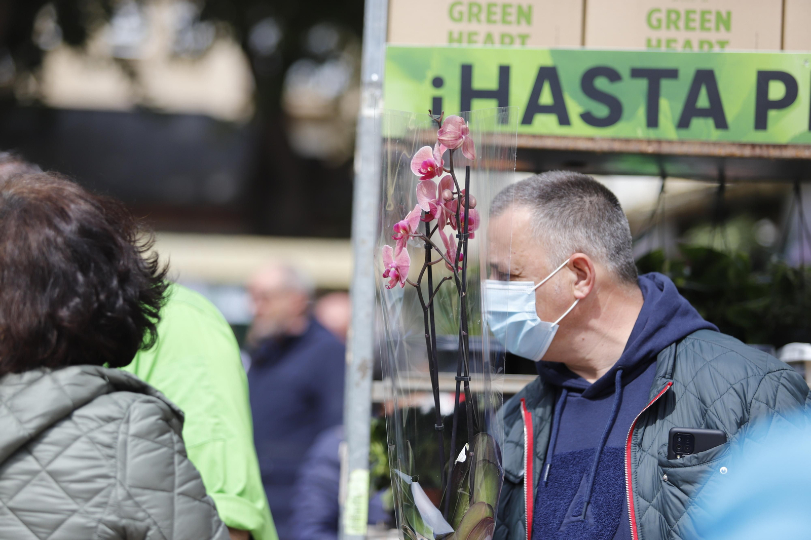 Imágenes del 'V Mercado de Flores y Plantas de Huelva' en la Plaza de Las Monjas