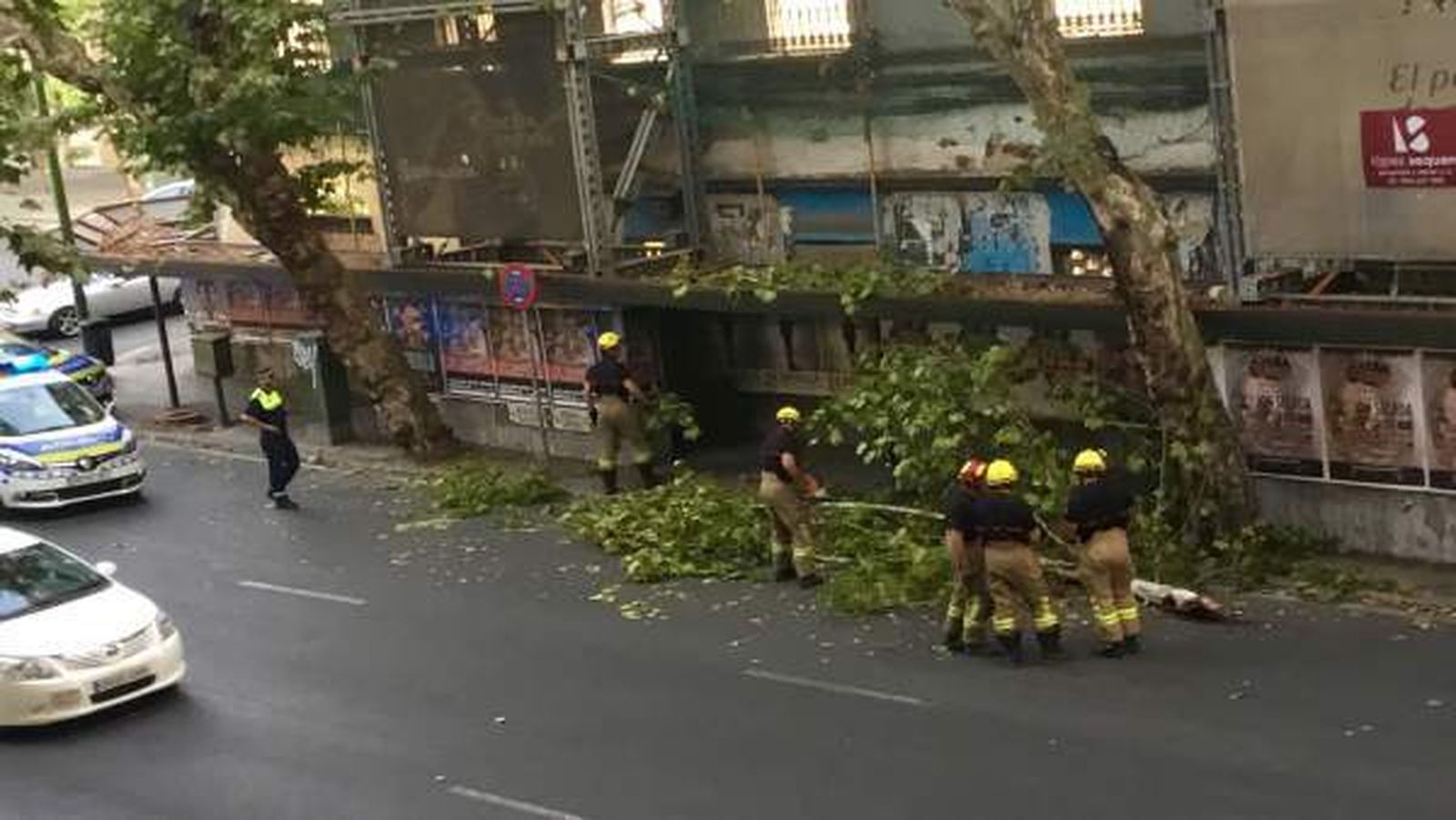Los Bomberos retiran la rama.