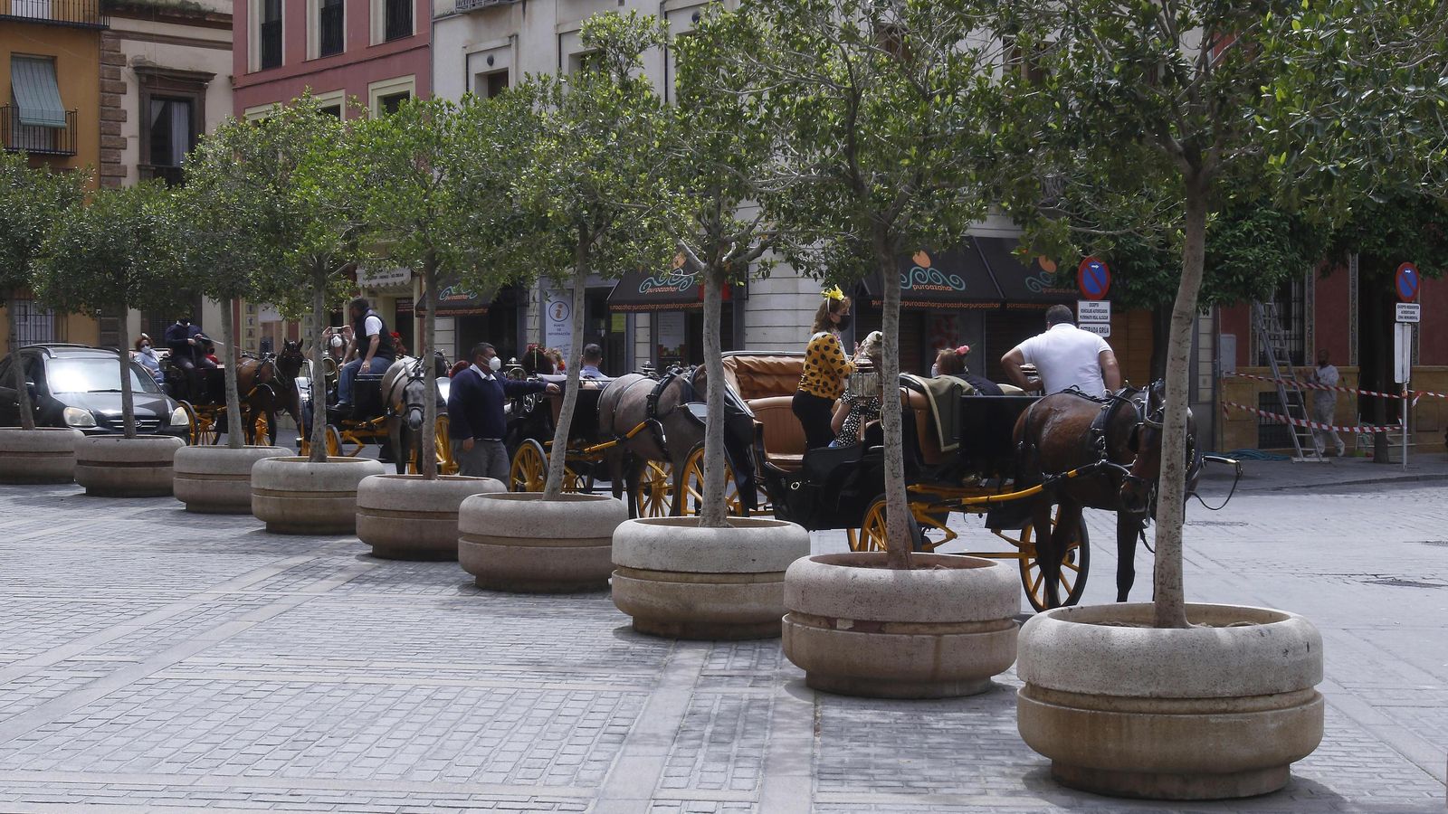 Una fila de coches de caballo junto a varios macetones instalados en la Puerta del León del Real Alcázar.