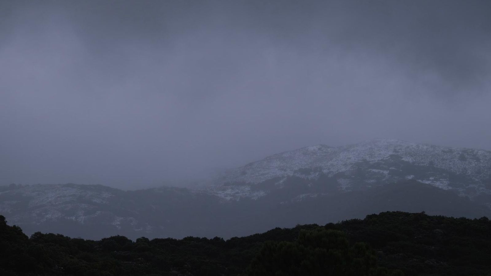 La Sierra de las Nieves cubierta de blanco este miércoles, entre la densa niebla. La Sierra de las Nieves cubierta de blanco este miércoles, entre la densa niebla.